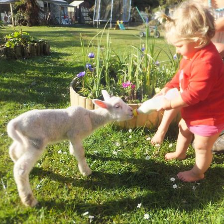 Little Paradise & Petting Farm Greymouth Eksteriør billede