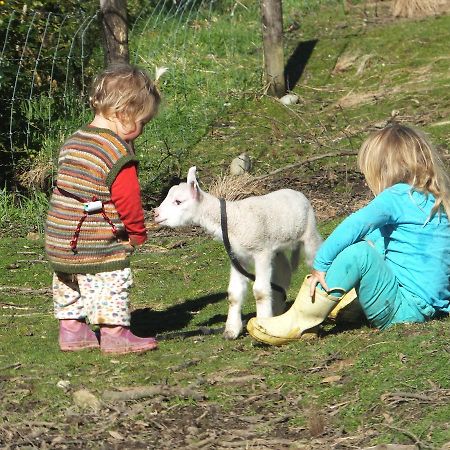 Little Paradise & Petting Farm Greymouth Eksteriør billede