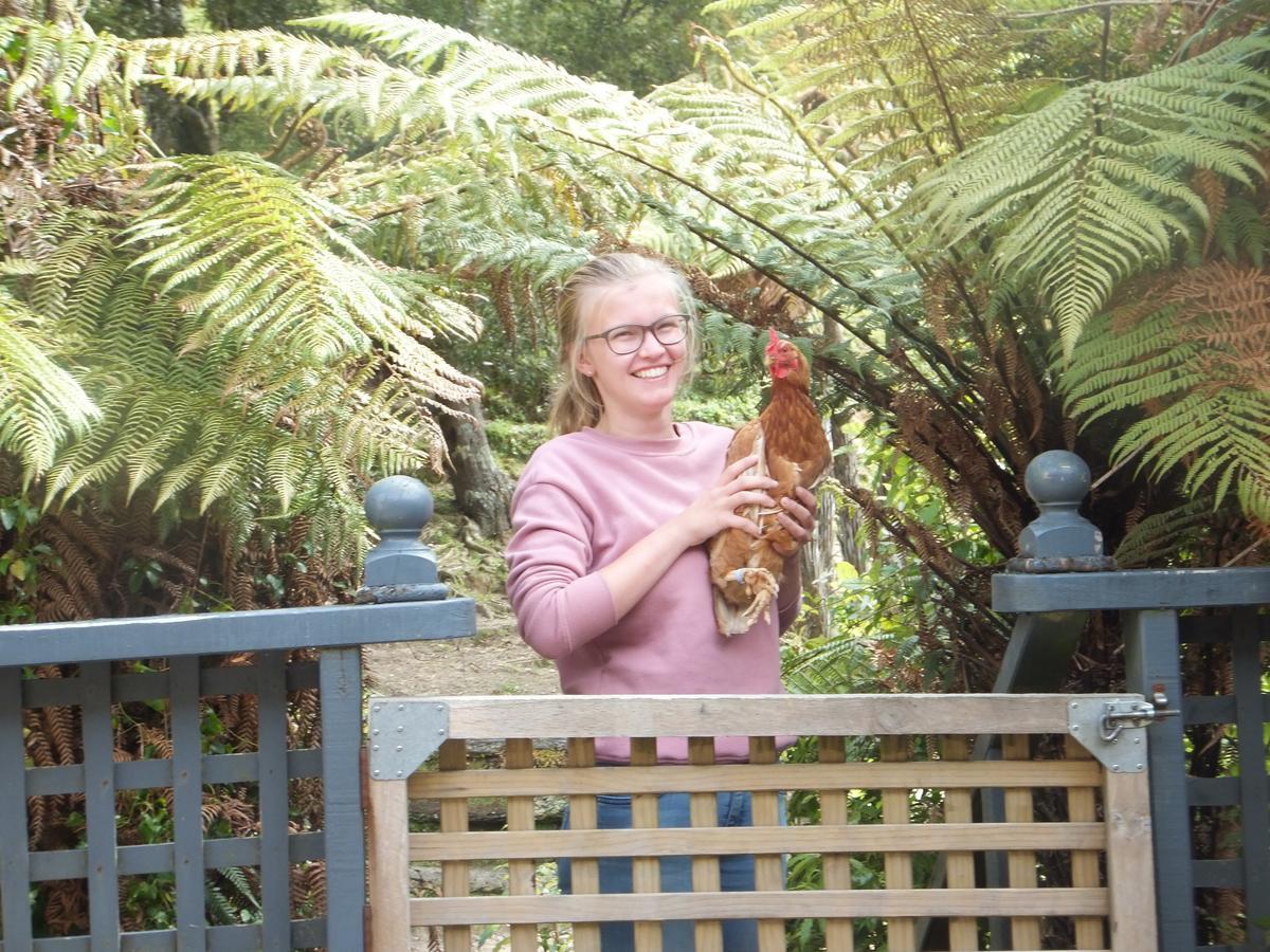 Little Paradise & Petting Farm Greymouth Eksteriør billede